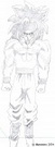 SSJ 4 Son Goku